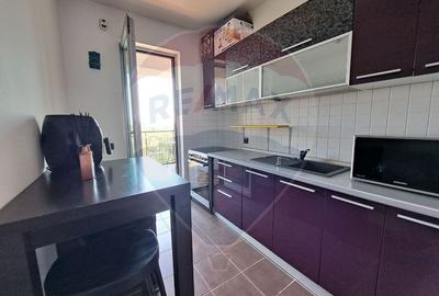 Asmita Gardens - Apartament 2 camere de inchiriat - Tineretului - 9