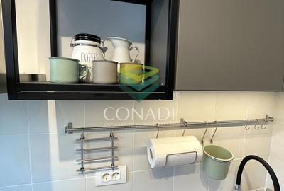 Garsoniera renovata modern str Nada Florilor - Teiul Domnei - 46