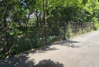 Drumul Taberei - Valea Oltului - 3