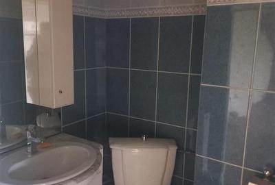 DUPLEX, 3 camere, etaj de mijloc, Calarasilor - Faleza - 13
