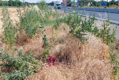 Teren  stradal DN5 Bucuresti -Giurgiu 34.800 mp - 2