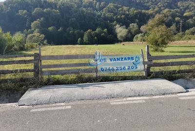 LOTURI- Teren Batca Doamnei – la lebede, 5250 mp, Neamt - 2