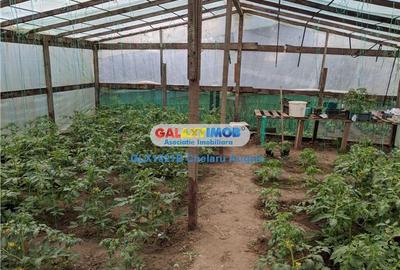 Gradistea, Ilfov, vila 4 camere, teren 2000 mp,dubla deschidere - 25