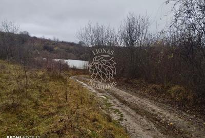 Teren 1000 mp-ideal casa de vacanta, investitie-Zona Valea Budacului - 2