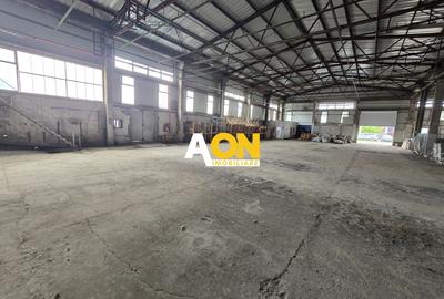 Spațiu Industrial, 900mp, Zona Bărăbanț - 5