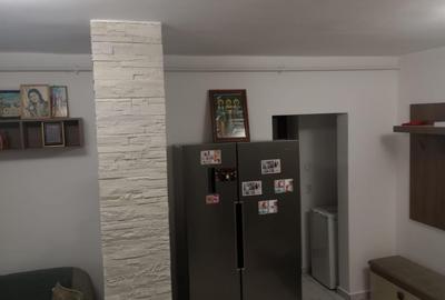 VANZARE 2 CAM MARGEANULUI- PETRE ISPIRESCU - 2