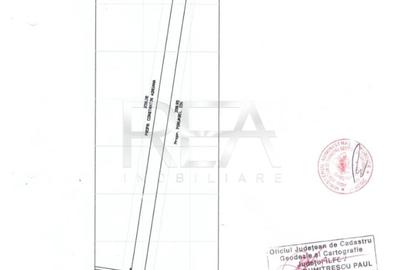 Teren Construcții intravilan de 10000 mp, în Theodor Pallady