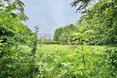 Teren intravilan 1600 mp | Valea Avrigului | zona turistica - 3