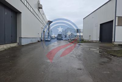Hală industrială nouă – oportunitate investiție | Vidrasău, Mureș - 5