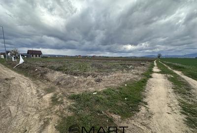 Teren intravilan 520 mp Harman - 1