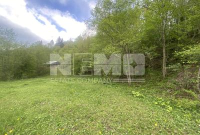 Teren Intravilan | Câmpulung Moldovenesc | 31ARI - 8