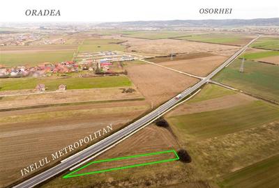RECO Teren intravilan in Cheriu - 5