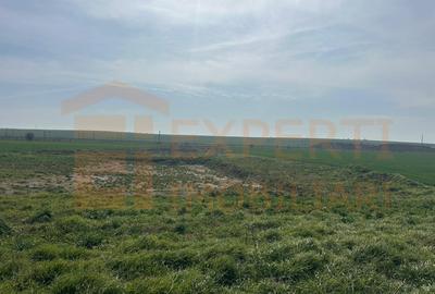 Teren intravilan 10.000 mp, DN-reprezentanta VOLVO -dezmembrari hala Neagra - 8