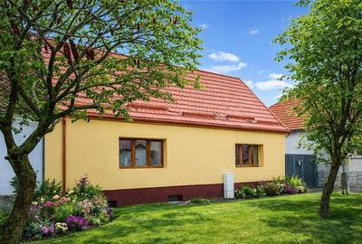 Cocheta casa renovata+vila spatioasa, domeniu de 1.500mp,Sanpetru,Brasov - 1