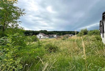 Teren Dealul Jelnei utilitati - 1