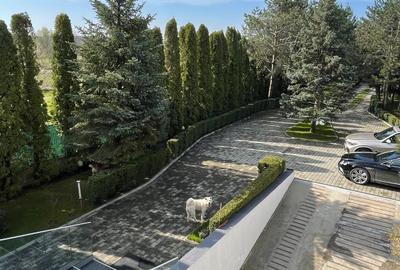 RESEDINTA SPECTACULOASA CU DESCHIDERE LAC SNAGOV,BARCA SI PONTON AMENAJAT - 8