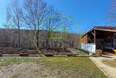 Teren de vanzare 1500 mp Cisnadioara - 1