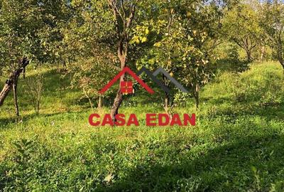 Teren extravilan in Brebu(Pietriceaua)--9104mp--50.000e - 7