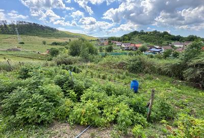 Ofertă de vânzare casă în Bonțida aproape de Castelul Banffy - 19