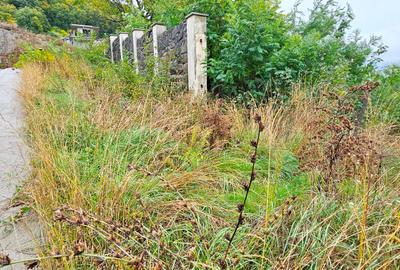 Teren 1250 mp, zona Stadion, priveliste si cadru natural superb - 3