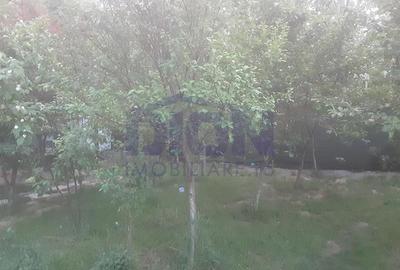 Vila individuala spatioasa cu gradina - 2