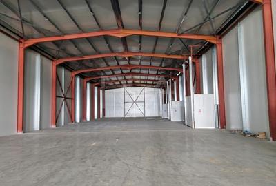 Spațiu industrial, de 1,170.00 mp, în Cernica