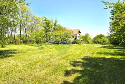 Proprietate unica, deschidere generoasa directa la lacul Snagov - 36