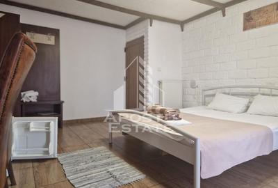 Pensiune 22 de camere si afacere la cheie cu 0% comision Zona Micalaca - 17
