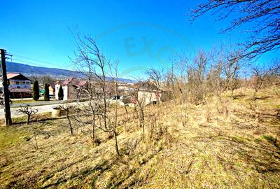 Casă cu teren generos în Dârmănești, Argeș-ideală pentru locuința sau afacere - 14