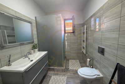 De Vânzare Casă Lazuri Satu Mare - 14