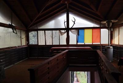 Proprietate de vacanta Valea Oltului - BREZOI - 13