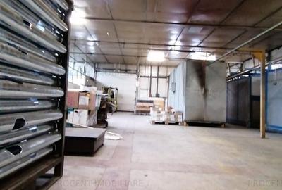 Hala Industriala - 3