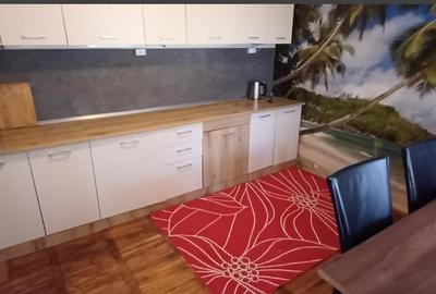 Apartament 2 camere la casa Centrul Civica - 11