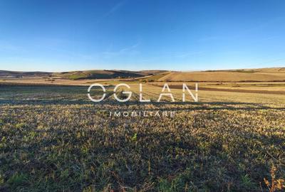 Teren intravilan cu PUZ pentru investitie - 49€/mp - Sura Mare - 6