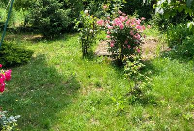 Casă P+M 248 mp | 6 Camere,Teren 1250 mp | Sistem Fotovoltaic + Eolian Prunaru - 3