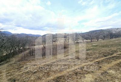 Teren intravilan | De vanzare | 12211 mp | Geogiu de Sus - 4