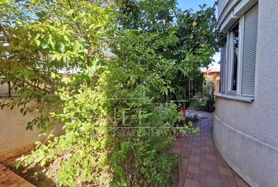 Casa Strada Muntii Carpati, 3 camere, curte proprie - 12