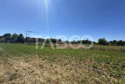 Comision 0% Teren intravilan 2000 mp cu utilitati zona Oltului Fagaras - 4