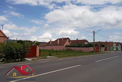Imobiliare Maxim - teren intravilan - 2
