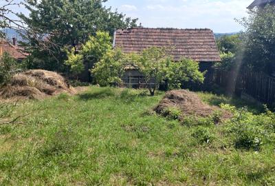 Vând casă cu teren mare în cartierul Dâmbul Rotund - 6