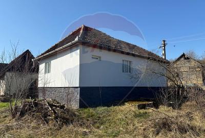 Casa in judetul Arad, Dumbravita - 2