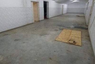 Hala de inchiriat – Ineu, judetul Bihor – 1.300 €/luna - 4