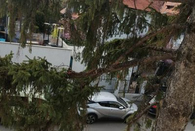 Închir Vila Floreasca 9 camere - 4