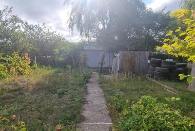 Teren la drumul European Botosani – Suceava - 3