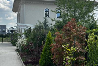 Sisesti-Premium villa for rent - 18