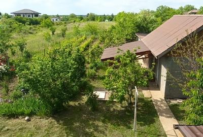 Moara Vlasiei , Casa cu teren 4250 m2 - 6