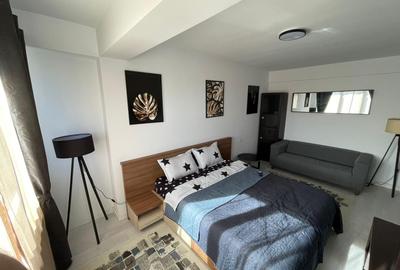 Apartament cu o camera Visan - 4
