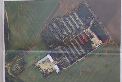 Vand Fost Complex de porci - 1