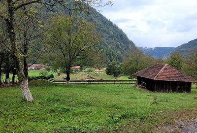 Teren intravilan cu utilitati,Bulz,Bihor