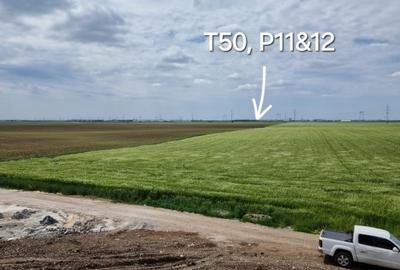 Proprietar, terenuri agricole extravilane, cadastru si intabulare, A0 - 1